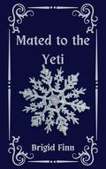 Mated to the Yeti (Yetis in Love #2) by Brigid Finn