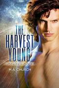 The Harvest Young: Bound by Fate by M.A. Church