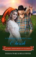 A Promise to Protect and Cherish (The Mail Order Brides of Colorado #5) by Belle Fiffer