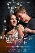 My Christmas Wish (The Parker's 12 Days of Christmas #6) by Blythe Reid