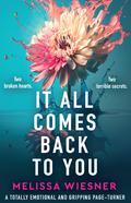 It All Comes Back to You by Melissa Wiesner