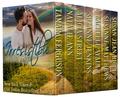 IRRESISTIBLE SECOND CHANCES by Susan Jean Ricci