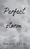 Perfect Storm by Morgan Leigh