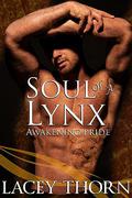 Soul of a Lynx by Lacey Thorn