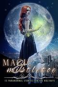 Magic & Mistletoe: 15 Paranormal Stories for the Holidays by J.L. Hendricks