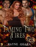 Taming Two Fires (Hearts of Heroes #1) by Rayne O'Gara