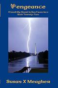 Vengeance (I Found My Heart in San Francisco #22) by Susan X. Meagher