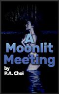 A Moonlit Meeting by P.A. Choi