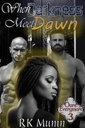 When Darkness Meets Dawn by R.K. Munin
