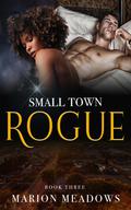 Small Town Rogue by Marion Meadows