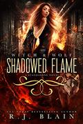 Shadowed Flame by R.J. Blain