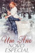 Um Ano Novo Especial (Festas de Fim de Ano da Família Warren #2) by Christy Anderson
