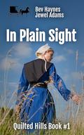 In Plain Sight (Quilted Hills #1) by Bev Haynes