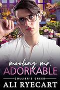 Meeting Mr. Adorkable (Collier's Creek #5) by Ali Ryecart