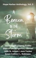 A Beacon in the Storm: Hope Harbor Vol. 3 by Sherrie Lea Morgan