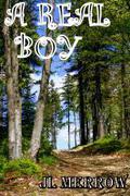 A Real Boy by J.L. Merrow