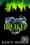 Breakup by Elva Birch