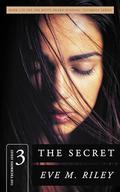 The Secret: A steamy second chance romance (The Techboys #3) by Eve M. Riley