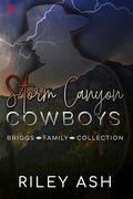 Storm Canyon Cowboys : Briggs Family Collection by Riley Ash