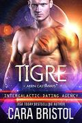 Tigre by Cara Bristol