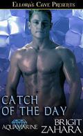 Catch of the Day (Aquamarine #1) by Brigit Zahara