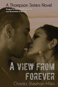 A View from Forever (Thompson Sisters #2) by Charles Sheehan-Miles