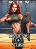 Crystal Core : A Litrpg Cultivation Adventure by David Burke, Dutch Palmer
