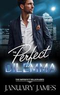 The Perfect Dilemma: A workplace romance novella by January James