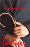 The Chastisement: The motivational training of young men...... by Sam Evans