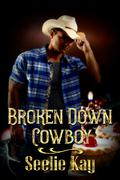 Broken Down Cowboy by Seelie Kay
