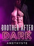 Brother After Dark: A Steamy Forbidden Romance by Jerilee Kaye