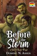 Before the Storm by Dominic N. Ashen