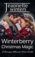 Winterberry Christmas Magic by Jeannette Winters