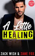 A Little Healing by Zack Wish, Zane Fox