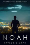 Noah (Streetboys #5) by Taylor J. Gray