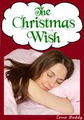 The Christmas Wish by Zorro Daddy