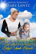 The Abandoned Baby's Amish Miracle by Mary Lantz