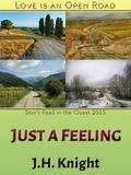 Just a Feeling by J.H. Knight