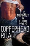Copperhead Road (Southern Beaus #3) by Terry Wylis