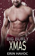 Big Burly Xmas (Forbidden Curves #24) by Erin Havoc