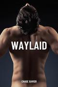 Waylaid by Chase Xavier