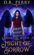 Night Of Sorrow (Gallows Hill Academy #1) by D.R. Perry