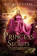 Princess of Secrets (Fairy Tale Adventures #2) by A.G. Marshall
