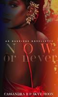 Now or Never (One Last Chance) (Once Last Chance #1) by Skye Moon