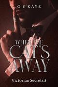 When the Cat's Away (Victorian Secrets #3) by G S Kaye