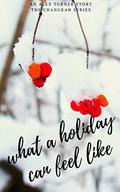 What A Holiday Can Feel Like (Chanukah #1) by Alex Turner