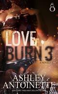 Love Burn 3 by Ashley Antoinette