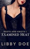 Examined Heat: An Omegaverse Erotic Short (Nests & Knots #2) by Libby Doe