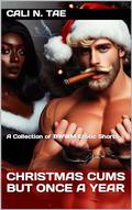 Christmas Cums But Once A Year: A Collection of BWWM Erotic Shorts by Cali N. Tae