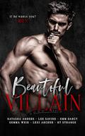 Beautiful Villain: An anthology of standalone romance novels by Natasha Anders